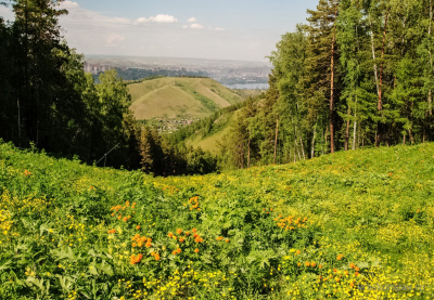 Воронежский государственный природный биосферный заповедник имени В. М. Пескова