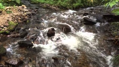 Тумнинский термальный источник