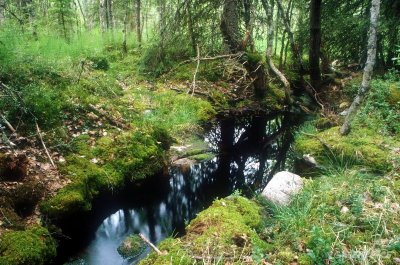 Калевальский национальный парк