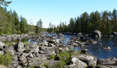Костомукшский заповедник