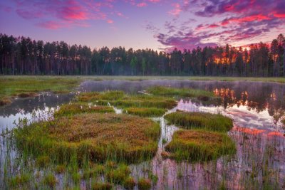Заповедник Кивач