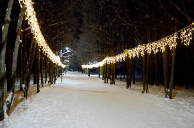 Дендропарк лесоводов Кировской области
