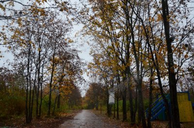 Дендропарк лесоводов Кировской области