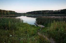 Государственный природный заказник "Былина"