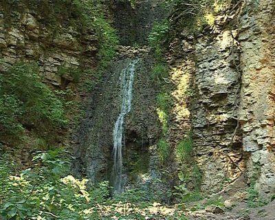 Государственный природный заказник "Пижемский"