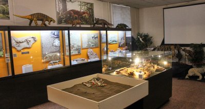 Котельничский палеонтологический музей