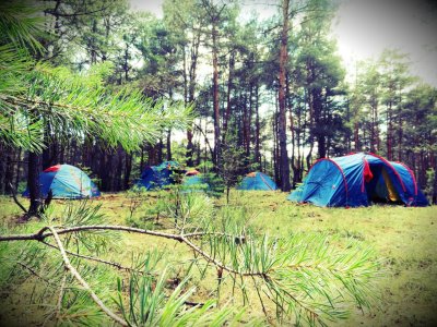 Пикник-Парк