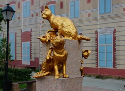 Сквер сибирских кошек