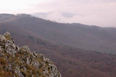 ФГБУ Зейский Государственный заповедник