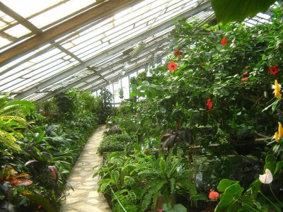 Сибирский ботанический сад