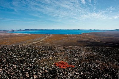 Эльгыгытгын