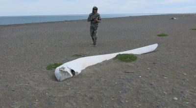 Коса Двух Пилотов