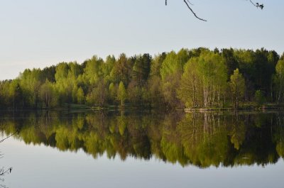 Лесное озеро мордовия