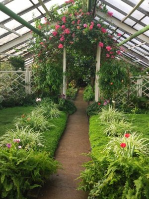 Забайкальский ботанический сад