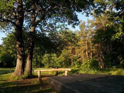 Кумысная поляна