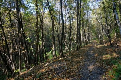 Кумысная поляна