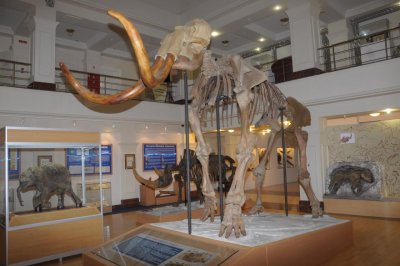 Ямало-Ненецкий окружной музейно-выставочный комплекс имени И.С. Шемановского