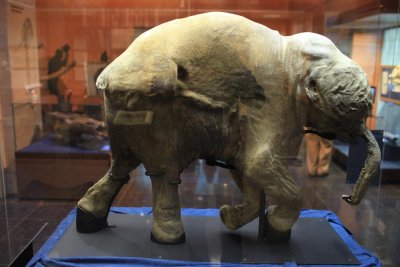 Ямало-Ненецкий окружной музейно-выставочный комплекс имени И.С. Шемановского