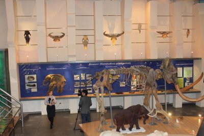 Музей мамонта им. П. А. Лазарева