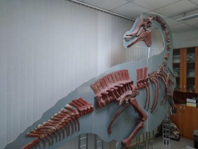 Палеонтологический музей, Амурский научный центр Дальневосточного отделения РАН