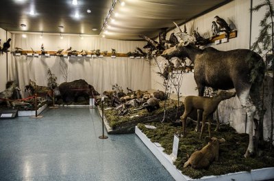 Музей природы Костромской области