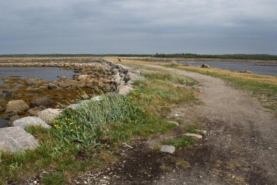 Муксалминская дамба