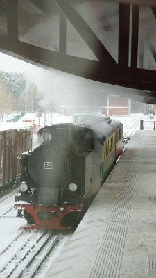 Музей узкоколейных железных дорог