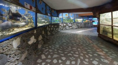 Алуштинский аквариум