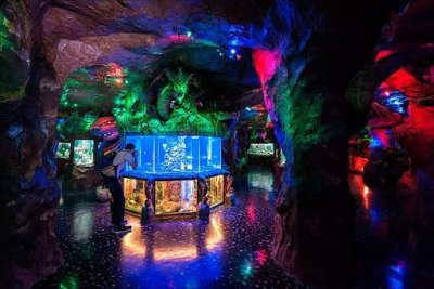 Евпаторийский аквариум