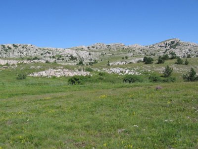 Бабуган-яйла