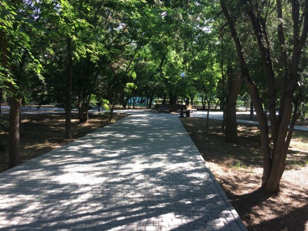 Сад им. Ленина