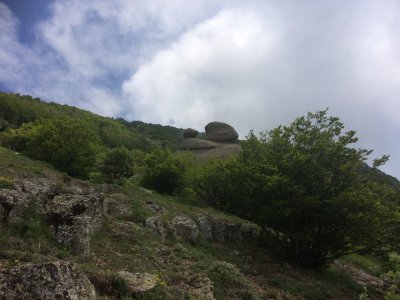 Солнечная поляна