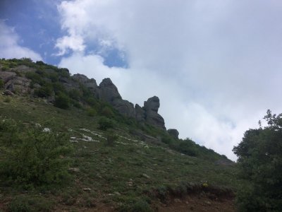 Солнечная поляна